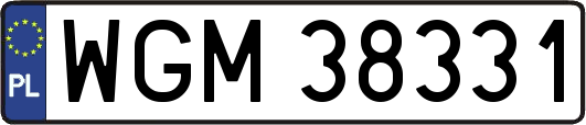 WGM38331