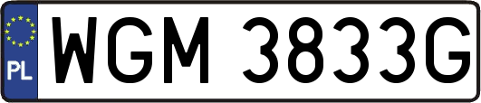 WGM3833G