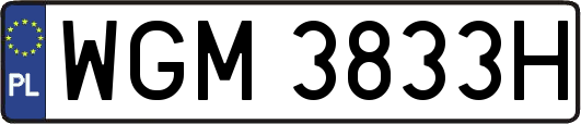 WGM3833H