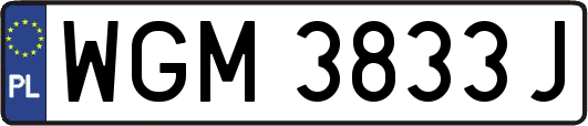 WGM3833J