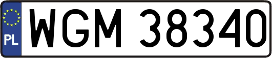 WGM38340