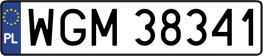 WGM38341