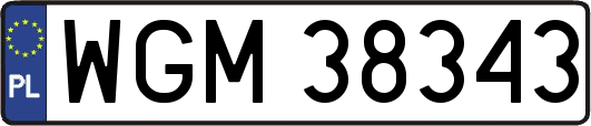 WGM38343