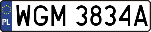 WGM3834A