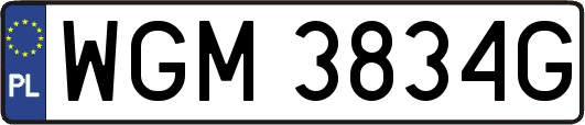 WGM3834G