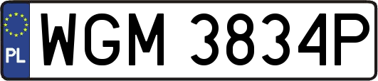 WGM3834P