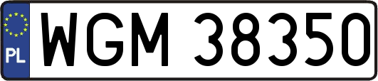 WGM38350