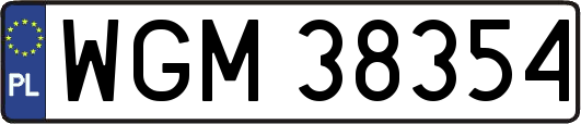 WGM38354