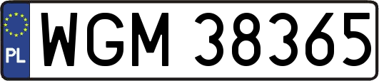 WGM38365