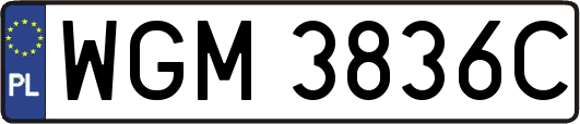 WGM3836C