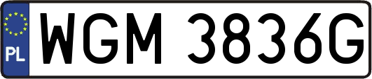 WGM3836G