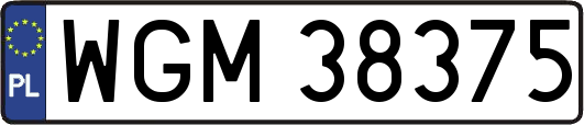 WGM38375
