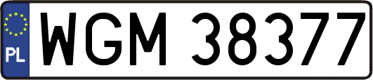 WGM38377