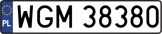 WGM38380