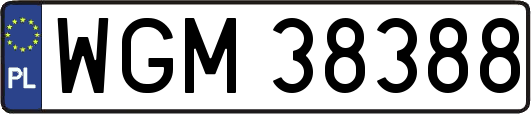 WGM38388