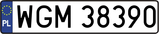 WGM38390