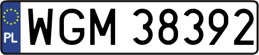 WGM38392