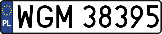 WGM38395
