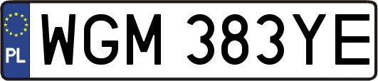 WGM383YE