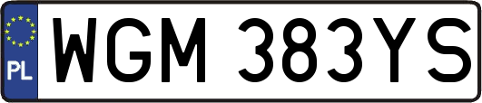 WGM383YS