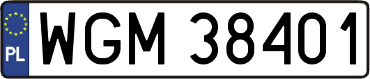 WGM38401