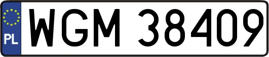 WGM38409