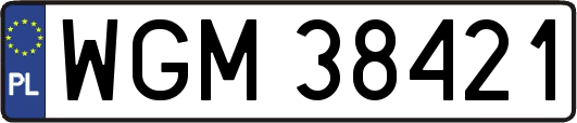 WGM38421