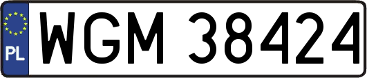 WGM38424