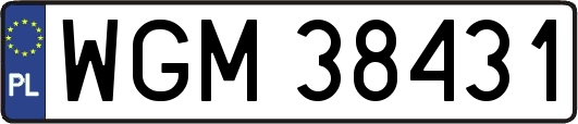 WGM38431
