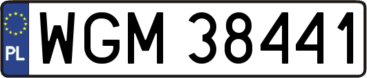 WGM38441