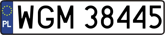WGM38445