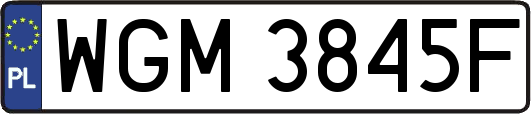 WGM3845F