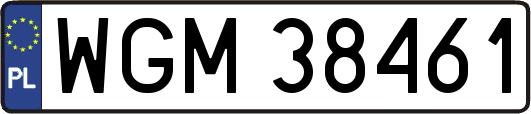 WGM38461