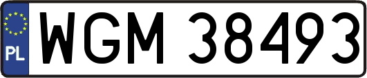 WGM38493