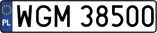 WGM38500