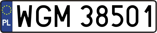WGM38501