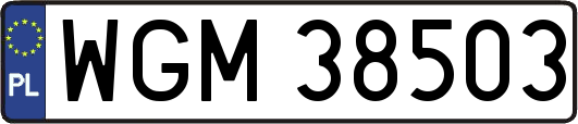 WGM38503