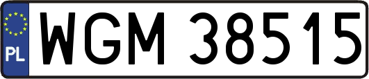 WGM38515