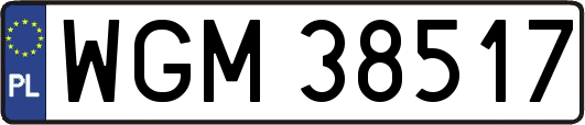 WGM38517
