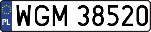WGM38520