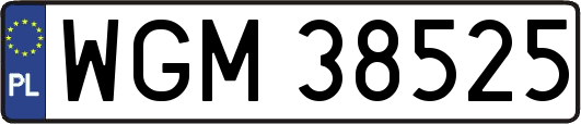 WGM38525