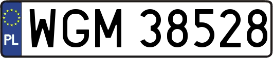 WGM38528