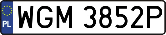 WGM3852P