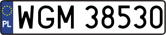 WGM38530