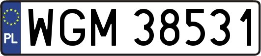WGM38531