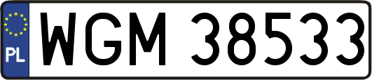 WGM38533