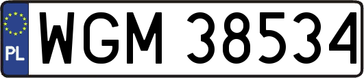 WGM38534