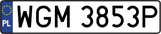 WGM3853P