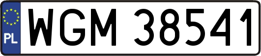 WGM38541