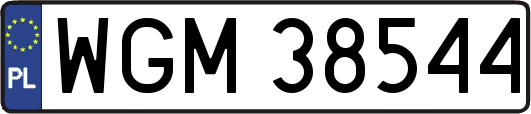 WGM38544